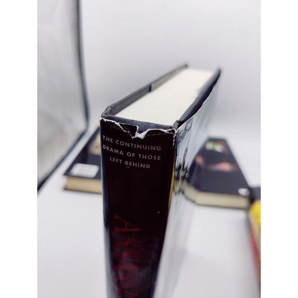 Left Behind Books Book Set Lot Of 5 Tim LaHaye Jerry B Jenkins Hardcover Rapture - Picture 12 of 12